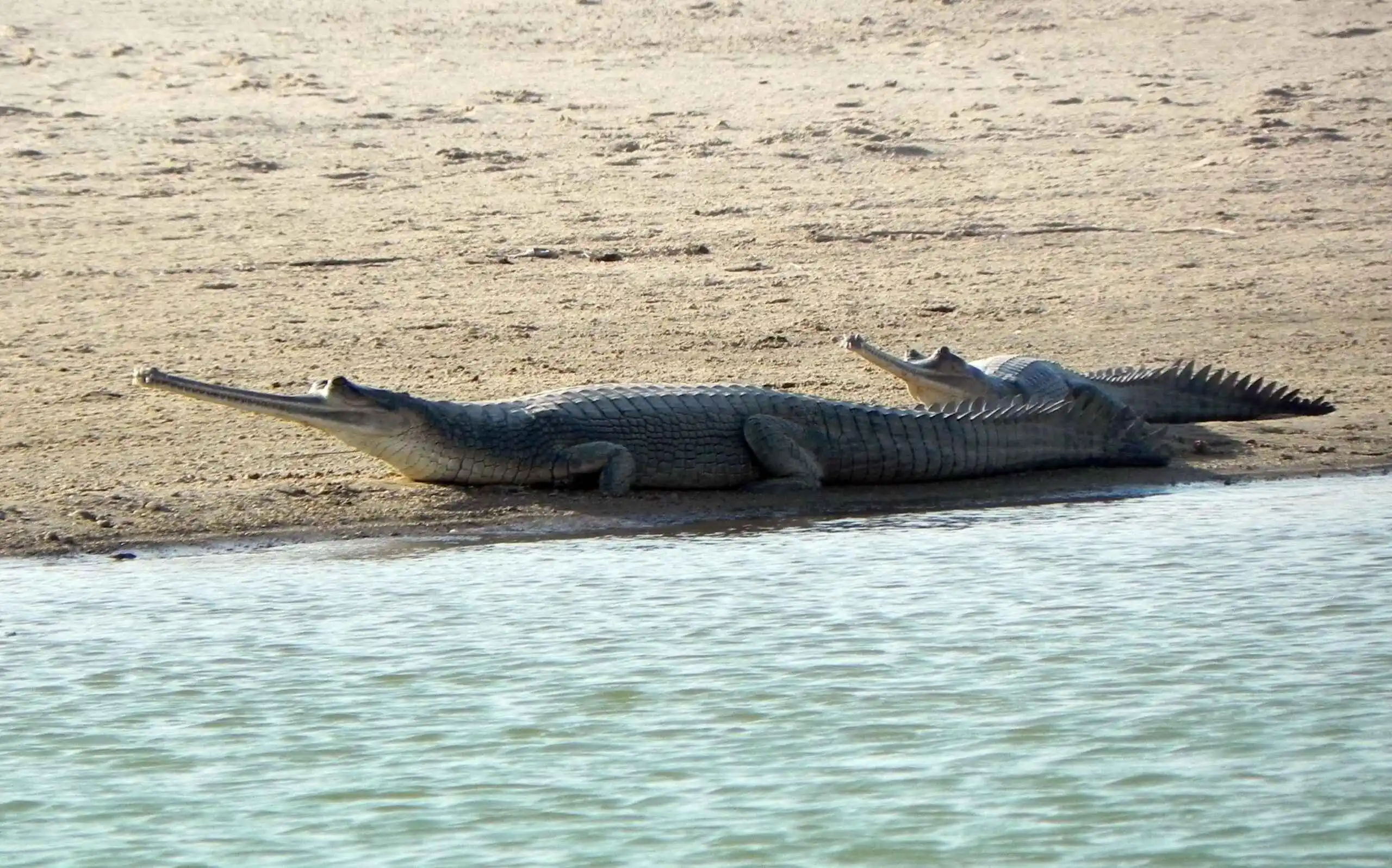 Tour of Dholpur and nearyby areas